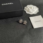 2026年2月2日入荷新品シャネルピアスギフト/誕生日/記念品/アクセサリーxin工場