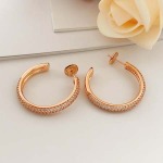 2026年2月3日入荷新品カルティエピアスギフト/誕生日/記念品/アクセサリーxin工場