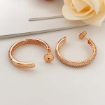 2026年2月3日入荷新品カルティエピアスギフト/誕生日/記念品/アクセサリーxin工場