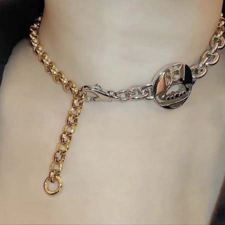 2026年2月5日入荷新品Vivienneネックレスギフト/...