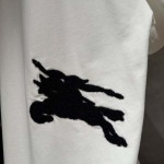 2026年6月24日春夏新作Burberrytシャツ高品質人気の商品/YGY工場