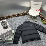 2022年12月秋冬高品質新作入荷 TheNorthFaceダウンジャケット人気 B028工場