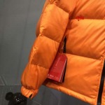 2022年12月秋冬高品質新作入荷 The North Face  ダウンジャケット人気520工場