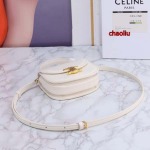 2023年人気 新作 CELINE  バッグ chaoliu工場 SIZE:15.5*12*7