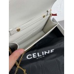 2023年早秋新作入荷高品質 CELINE  バッグ LOW1工場 SIZE:19.5 X 13 X 4CM