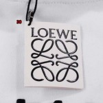 2023年9月13日秋冬人気新品入荷LOEWE  スウェット30工場