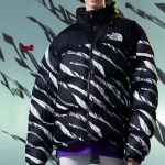 秋冬新作入荷人気  The North Face ダウンジャケットyadi工場