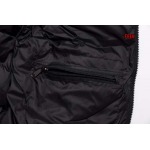 2023年11月8日秋冬人気新作入荷 The North Face ダウンジャケット BG 工場 M-XXL