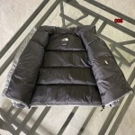 秋冬人気新作入荷 The North Face ダウンジャケット008工場