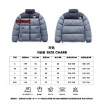 2023年11月21日秋冬新品入荷The North Face ダウンジャケットfangao工場