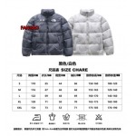 2023年11月21日秋冬新品入荷The North Face ダウンジャケットfangao工場