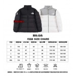 2023年11月21日秋冬新品入荷The North Face ダウンジャケットfangao工場