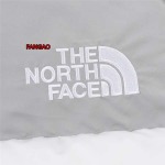 2023年11月21日秋冬新品入荷The North Face ダウンジャケットfangao工場