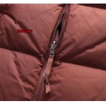 2023年11月21日秋冬新品入荷The North Face ダウンジャケットfangao工場