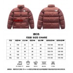 2023年11月21日秋冬新品入荷The North Face ダウンジャケットfangao工場