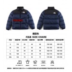 2023年11月21日秋冬新品入荷The North Face ダウンジャケットfangao工場