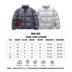 2023年11月21日秋冬新品入荷The North Face ダウンジャケットfangao工場