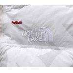 2023年11月21日秋冬新品入荷The North Face ダウンジャケットfangao工場