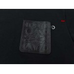 2023年12月11日秋冬新品入荷LOEWE  半袖 Tシャツ bai工場