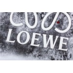 2024年4月1日春夏新作入荷LOEWE半袖 Tシャツ FF工場