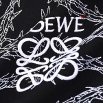 2024年4月1日春夏新作入荷LOEWE 半袖 Tシャツ FF工場