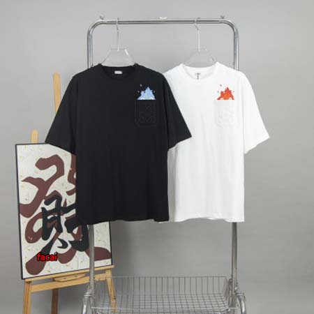 2024年4月9日春夏新作入荷LOEWE 半袖 TシャツFA...