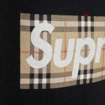 2024年4月15日夏季高品質新作入荷 SUPREMEバーバリー 半袖 Tシャツ 61工場