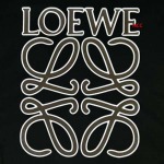 2024年5月17日夏新作入荷 LOEWE 半袖 Tシャツ NCC工場