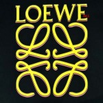 2024年5月17日夏新作入荷 LOEWE 半袖 Tシャツ NCC工場