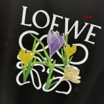 2024年5月22日夏季新作入荷LOEWE半袖 Tシャツ DW工場s-xxl