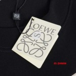 2024年7月25日新品入荷LOEWE 半袖 Tシャツ ZHMIN工場