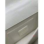 2024年8月1日新品入荷ディオールブランドバッグ XX工場 SIZE:20 x 11x 7