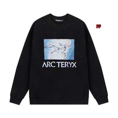 2024年8月22日秋冬新作入荷 ARCTERYXスウェット...