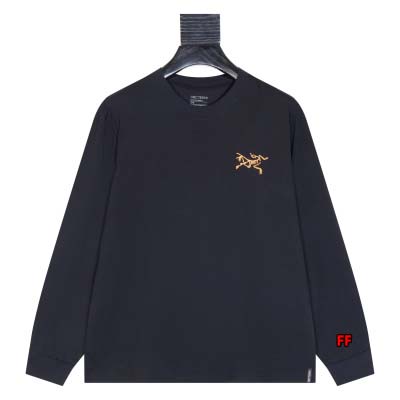 2024年8月22日秋冬新作入荷ARCTERYX  長袖 T...