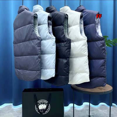 2024年9月24日早秋新品入荷Canada Goose ダウンジャケットベストFF工場