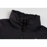 2024年10月28日秋冬新品入荷 The North Face ダウンジャケットアウター FF工場 S-XXL