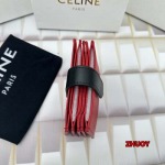 2024年11月1日秋冬新品入荷CELINE 財布 バッグ zhy工場