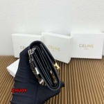 2024年11月1日秋冬新品入荷CELINE 財布 バッグ zhy工場