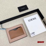 2024年11月1日秋冬新品入荷LOEWE カードパック  ...