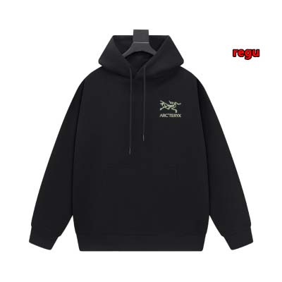 2024年11月14日秋冬新作入荷ARCTERYX パーカー...