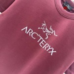 2024年11月14日秋冬新作入荷ARCTERYX  半袖 Tシャツ FF工場