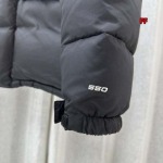 2024年11月15日秋冬新品入荷The North Face ダウンジャケット FF工場