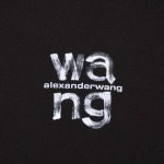 2025年早春新作入荷AIexander Wang半袖 Tシャツ 520L工場