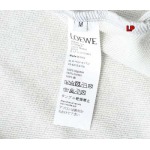 2024年11月28日秋冬高品質新品入荷LOEWE スポーツズボンLP工場S-XL