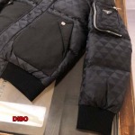 2024年11月29日秋冬高品質新品入荷PRADA  ダウンジャケットdib工場