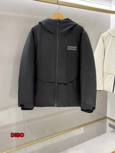 2024年11月29日秋冬高品質新品入荷ZEGNA ダウンジ...