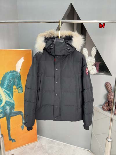 2024年12月4日秋冬高品質新品入荷 Canada Goose ダウンジャケット BF工場