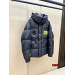 2024年12月1日秋冬高品質新品入荷FENDI ダウンジャケットdib工場