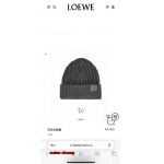 2024年12月3日新品入荷LOEWE ニット帽 暖かい防寒秋冬 chuang工場