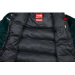 2024年12月4日秋冬新品入荷Supreme & The North Faceダウンジャケット BF工場